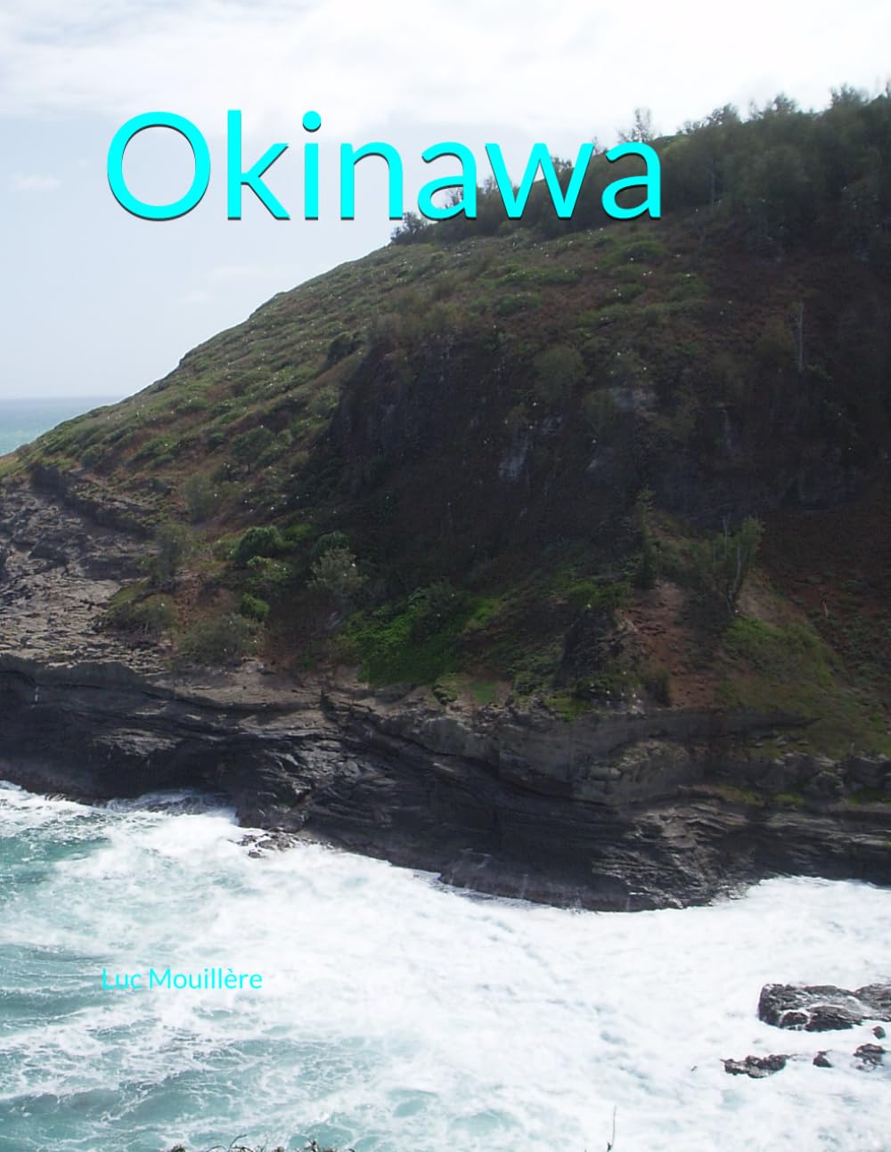 Okinawa contre l'air sec et le stress solution d'armathérapie d'intérieur