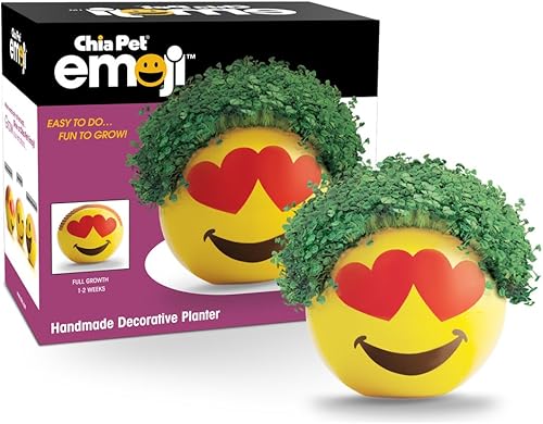 Miniatura 81 de Chia Pet Trolls, Poppy World Tour con paquete de semillas, maceta decorativa de cerámica, fácil de hacer y divertido de cultivar, regalo novedoso