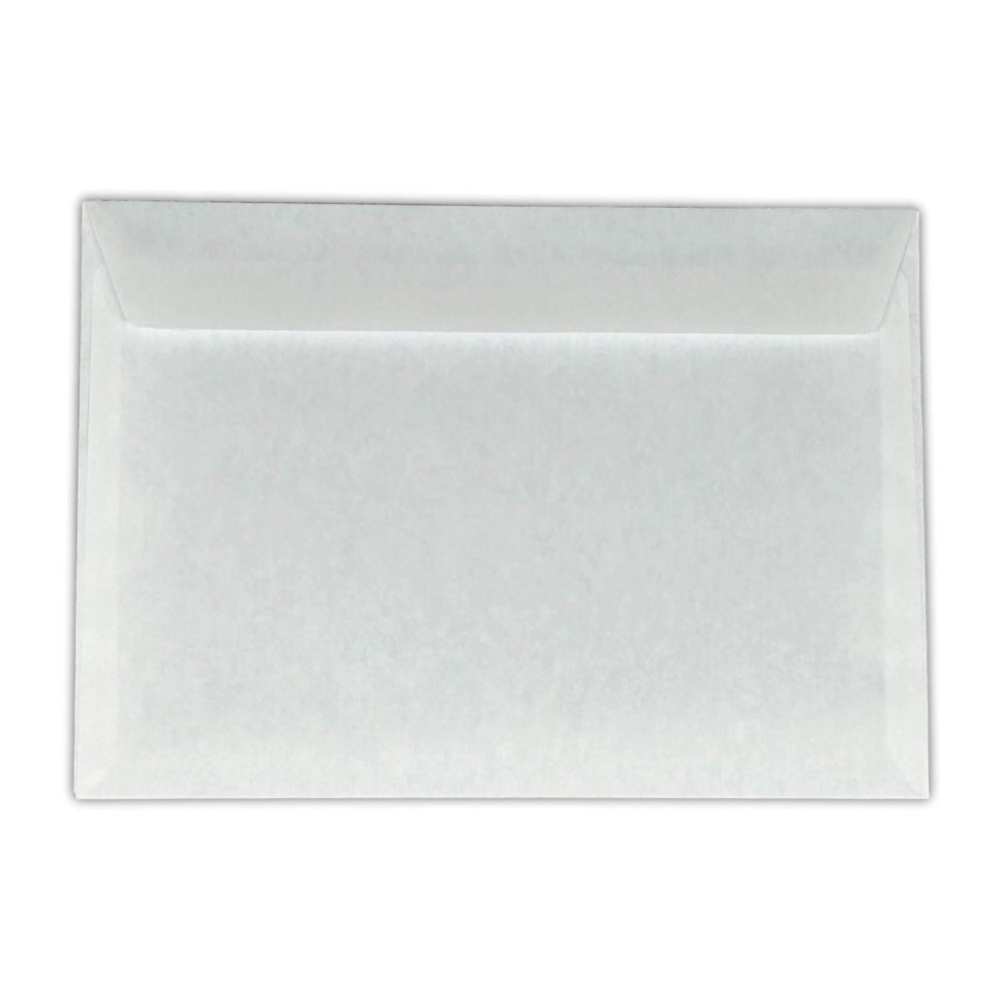 1000 Enveloppes C56 Blanches Sans Fenêtre - 110x220 Mm, Fermeture Adhésive | Pour Courrier Professionnel