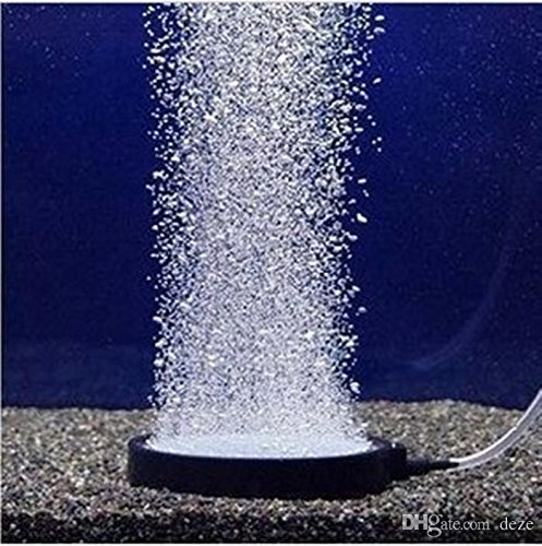 VasuWorld Air Stone Disk Water Airstone Oxygen Bubble, Air Pump, T Connector and Pipe Aquarium Accessories (Multicolour) (B01GE8K04W) Amazon Price History, Amazon Price Tracker