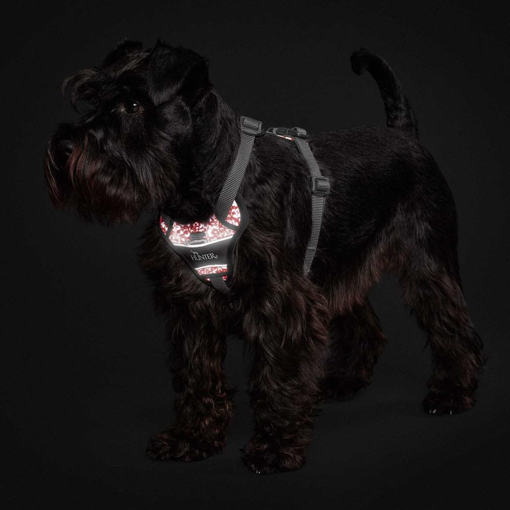 Arnés para Perro Hunter Divo Rojo Gris Reflectante Talla L (72-100 cm)