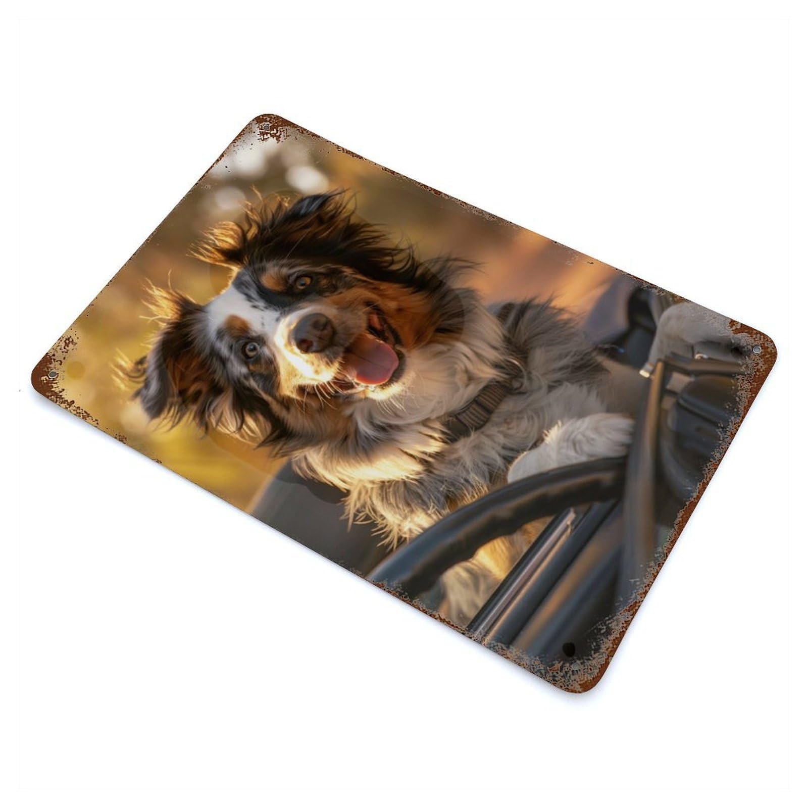 Australian Shepherd Car Decorative Tin Sign 11.8"x7.9", for Bistro, Counter And Cafe Decor, Classic Wall Plaque