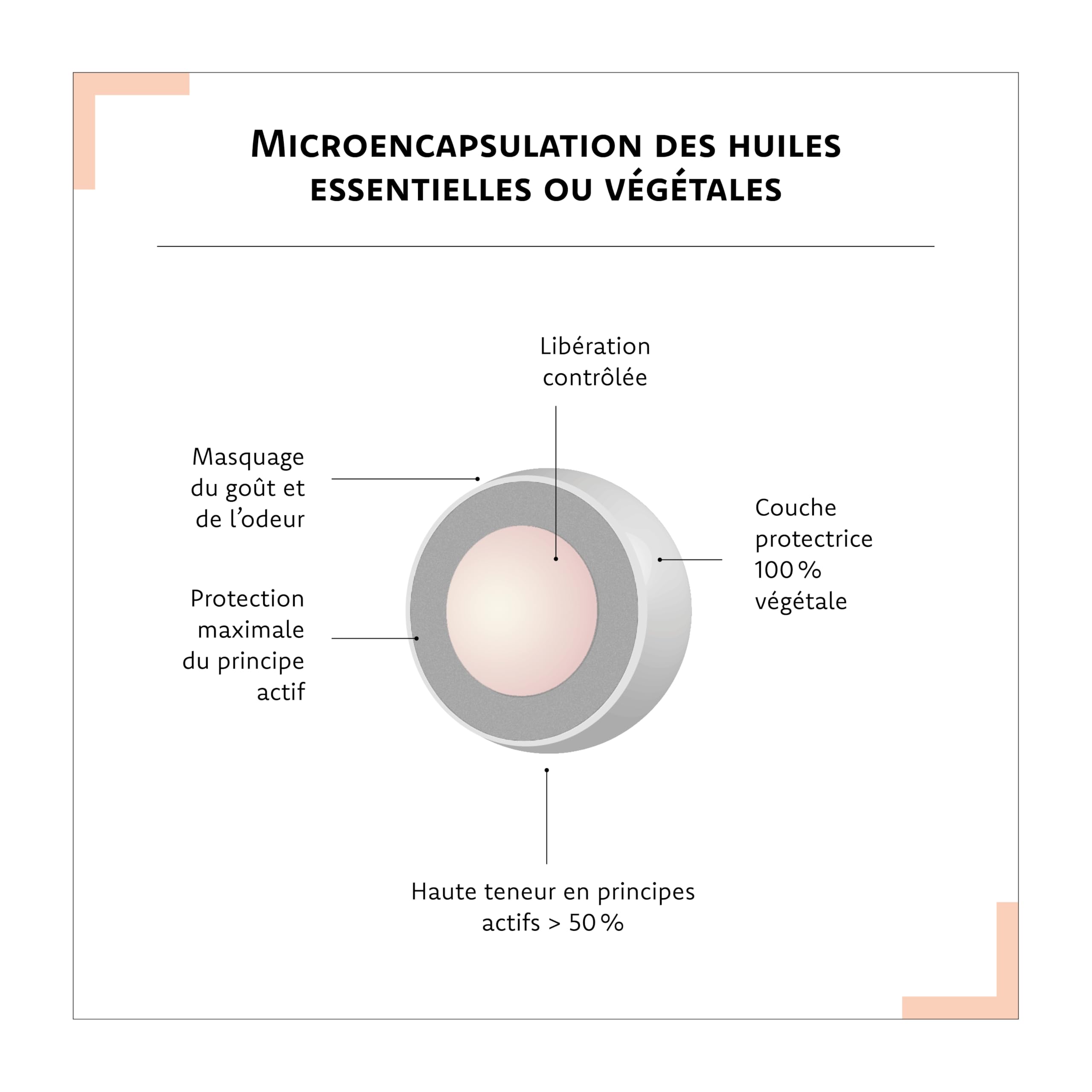 ARAGAN - Synactifs Lot de 2 Dynactifs - Complément Alimentaire Anti-Fatigue - Ginseng, Acérola, Caféine, Vitamine C et Menthe Poivrée - 60 gélules - 1 mois de prise - Fabriqué en France