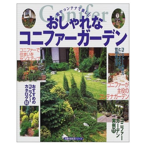 Amazon.com: Stylish Conifer garden to enjoy in the garden or containers ...