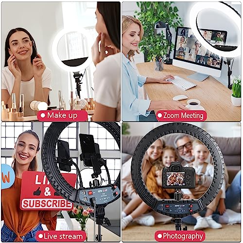EOTO LIGHT 21-Inch Ring Light