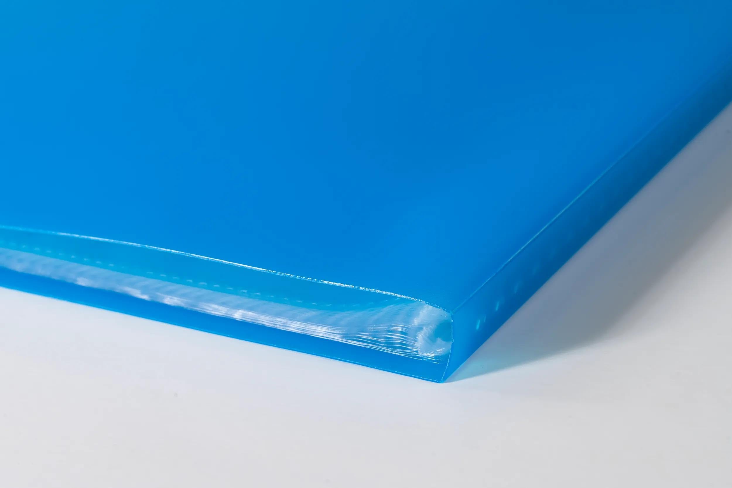 Exacompta - Ref. 85462E - Cartón de 12 protectores de documentos de cromalina, 40 fundas de cristal liso, 80 vistas, para A4, 24 x 32 cm, tapa de polipro translúcido semirrígido, color azul