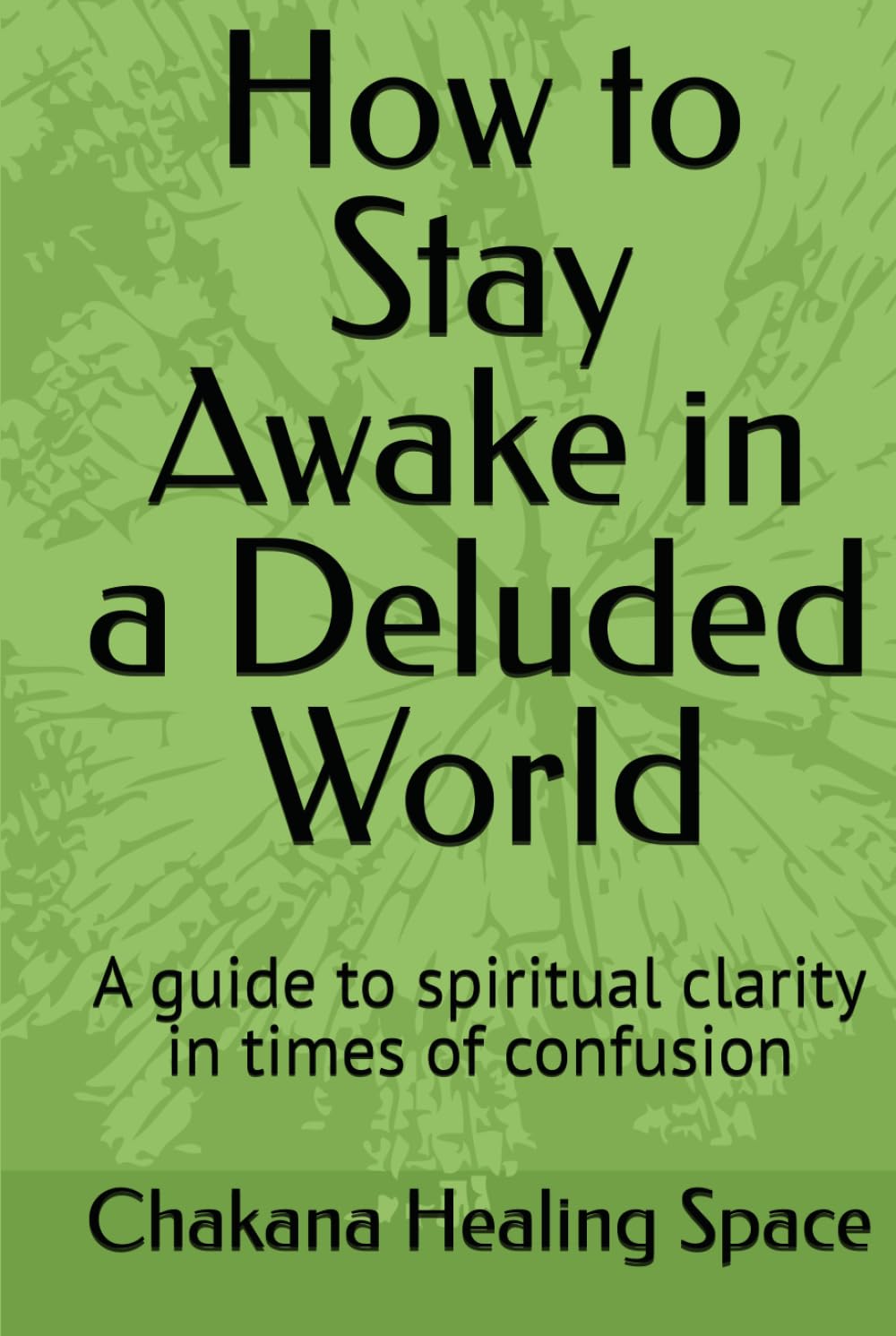 How to Stay Awake in a Deluded World: A guide to spiritual clarity in times of confusion