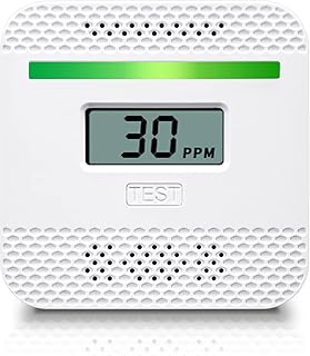 Mini Portable Carbon Monoxide Detector | LCD Digital Display and Buzzer Alarm,Electrochemical Sensors That Comply with UL2034 Home Safety Standards|Suitable for Outdoor Camping,Travel,Car and Home