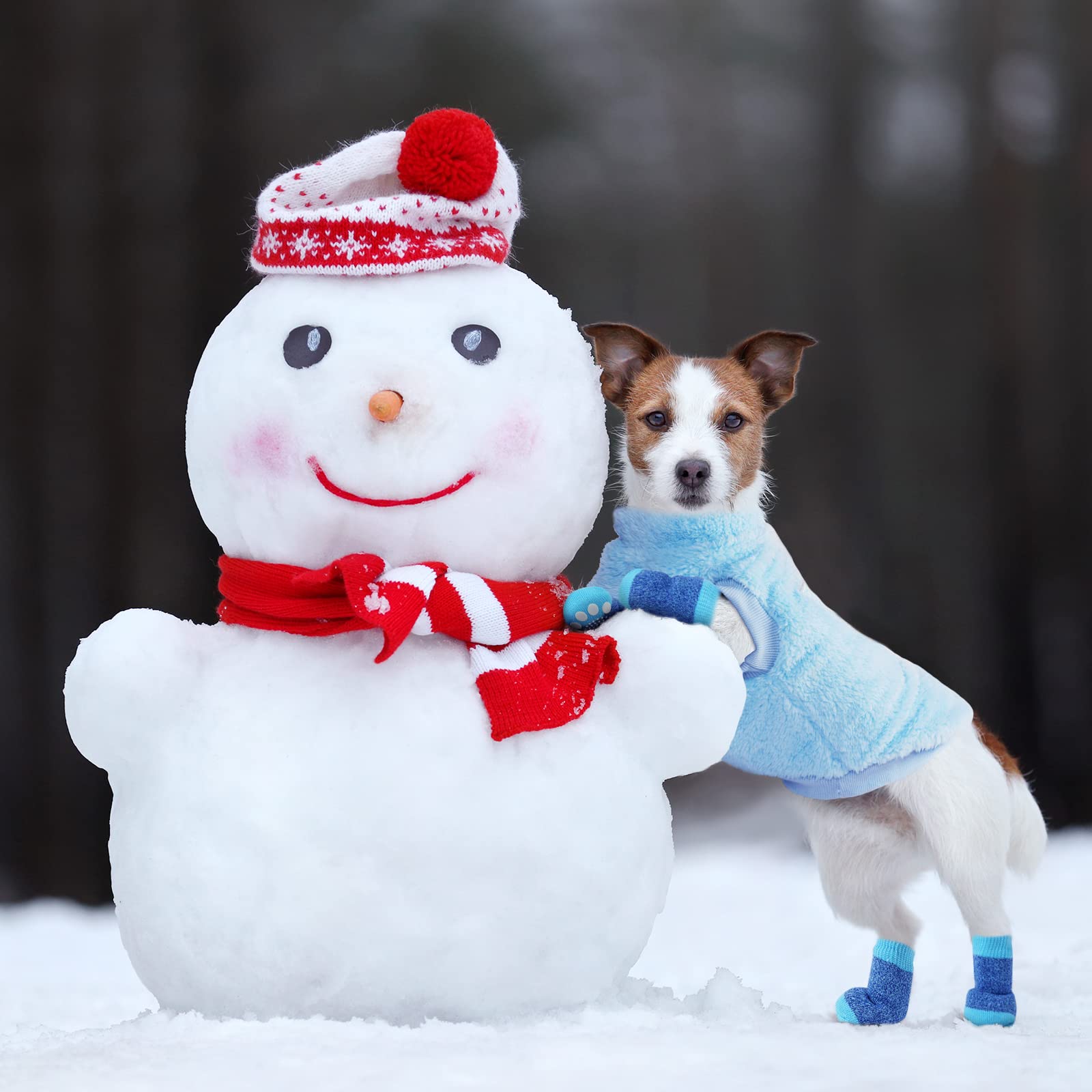 Pull Chien, Vêtement Chihuahua Avec 4 Pcs Chaussette, Veste en Velours Super Doux et épais, Hiver Chaud Pour Petit et Moyen Chien Chat (Bleu XL)