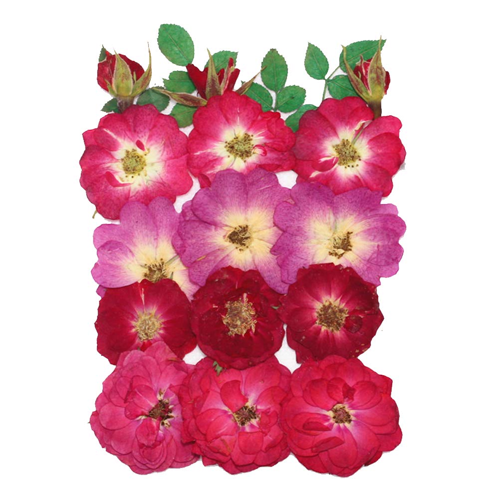 Natural Dried Flowers Bouquet Dry Flowers Decorative Hydrangea Bouquet Pink Larkspur, Mini Rose, Hydrangea, Daisy, Real Pressed Dried Flowers for Nail Art Soap Candle Resin Making Bath Craft (Rose)