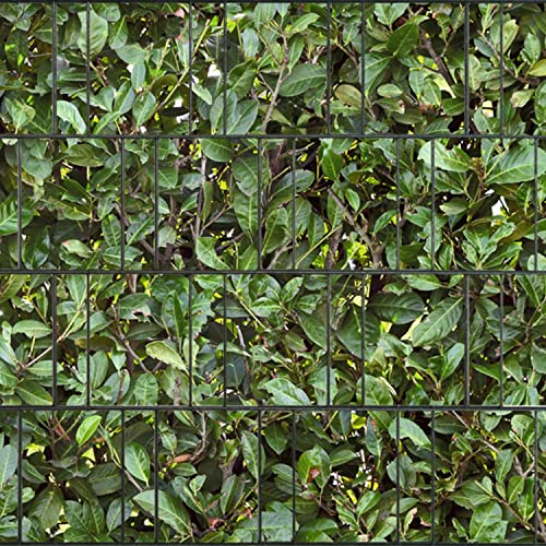 PerfectHD Zaunsichtschutz - Sichtschutz mit Motiv - Sichtschutz Bedruckt - Kirschlorbeer - Polyester Gewebe - 26 m Rolle - 19 cm breit - 32 Motive