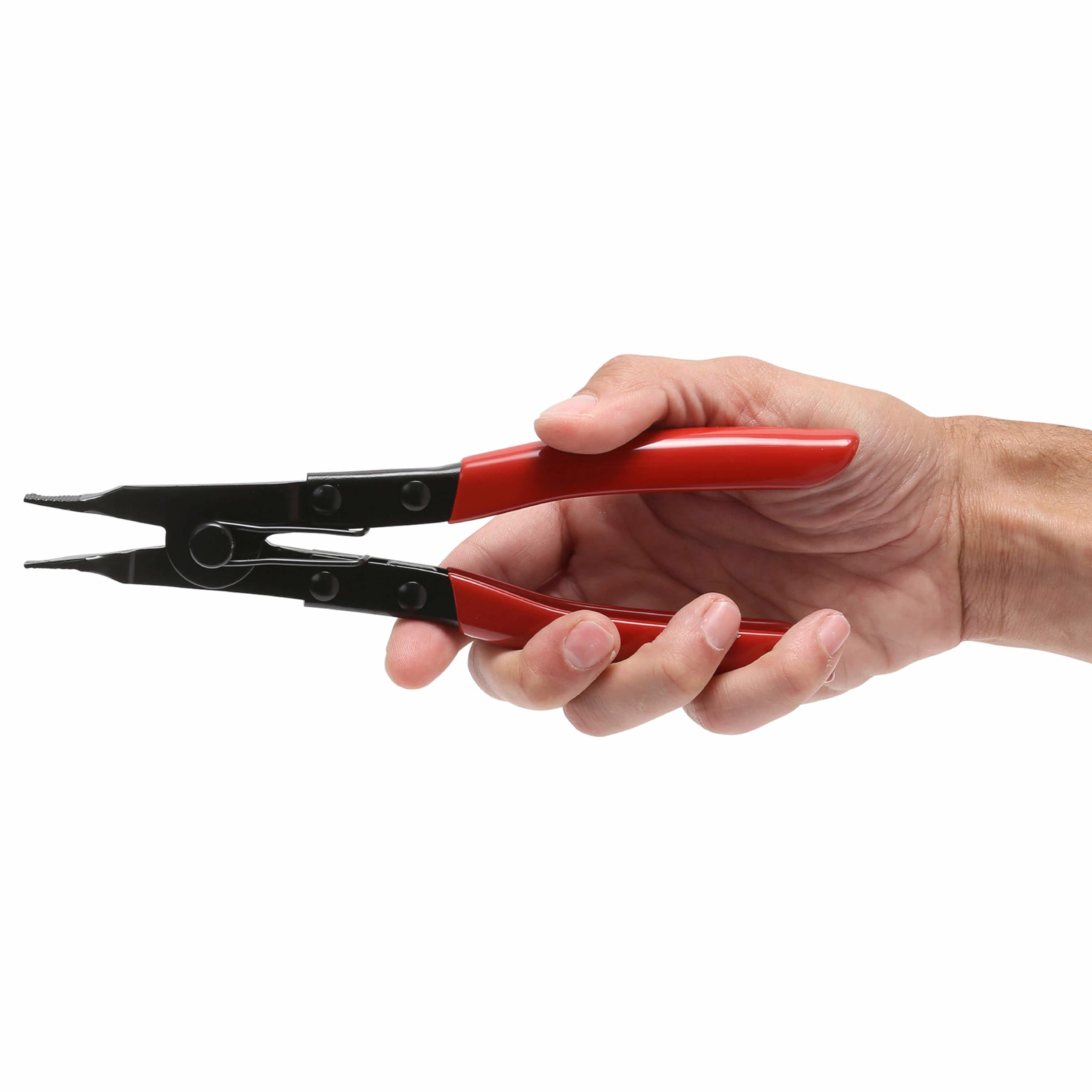 Amazon | OEM TOOLS 25354 アングルチップロックリングプライヤー