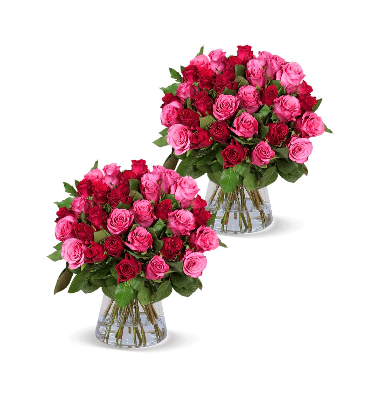 Blume Ideal Rosenstrauß - Rosen in verschiedenen Farben und Mengen - Ø 40–50 cm - Echte premium Blumen für Hochzeit & Deko - 7 Tage Frischegarantie