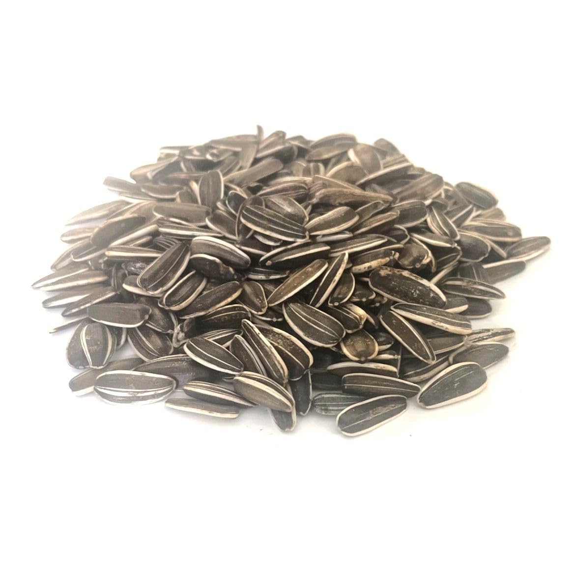 5kg Medium Sunflower Seeds Bird Parrot Food