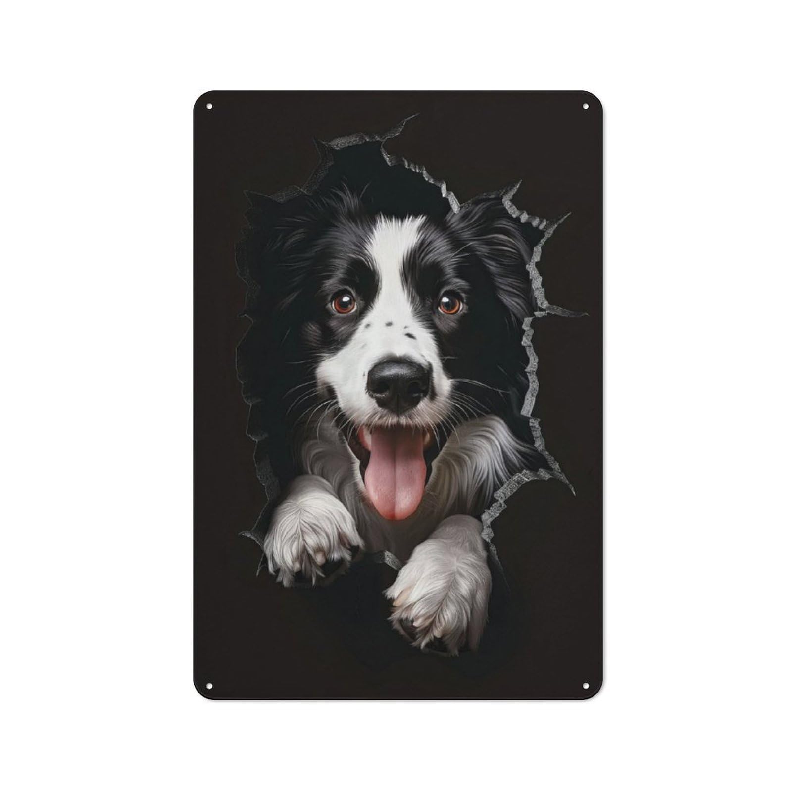 Junmoney Border Collie Dog Industrial Decorative Metal Plaque 30X20cm, Studio Wall Art For Flat, Bar, Studio Or Gallery Wall