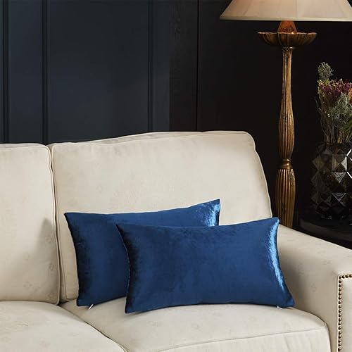 Vista 221 de GIGIZAZA - Juego de 2 fundas de almohada decorativas de 18 x 18 pulgadas, fundas de almohada cuadradas de terciopelo verde azulado pavo real