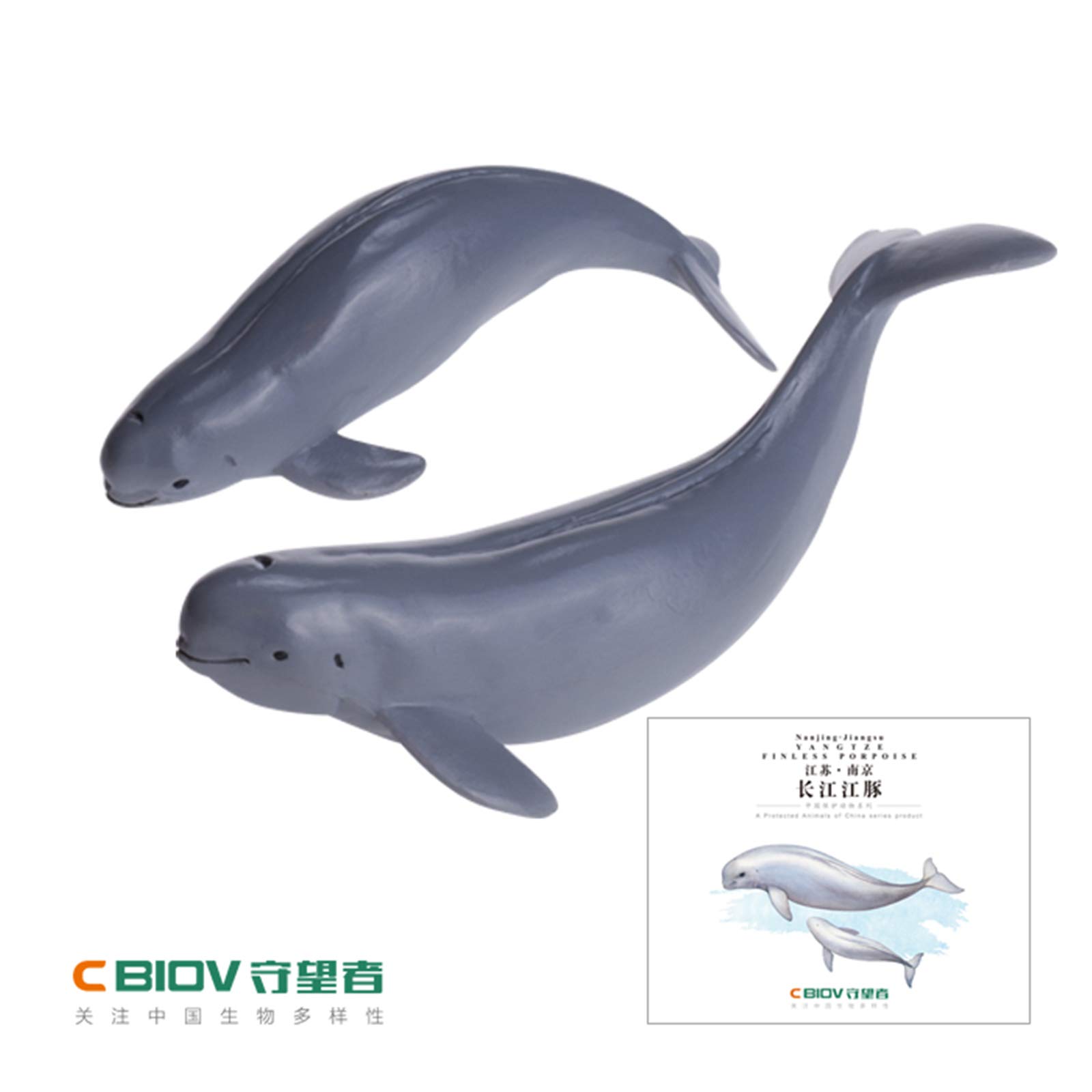 Amazon | CBIOV スナメリ イルカ 動物 リアル フィギュア 長江