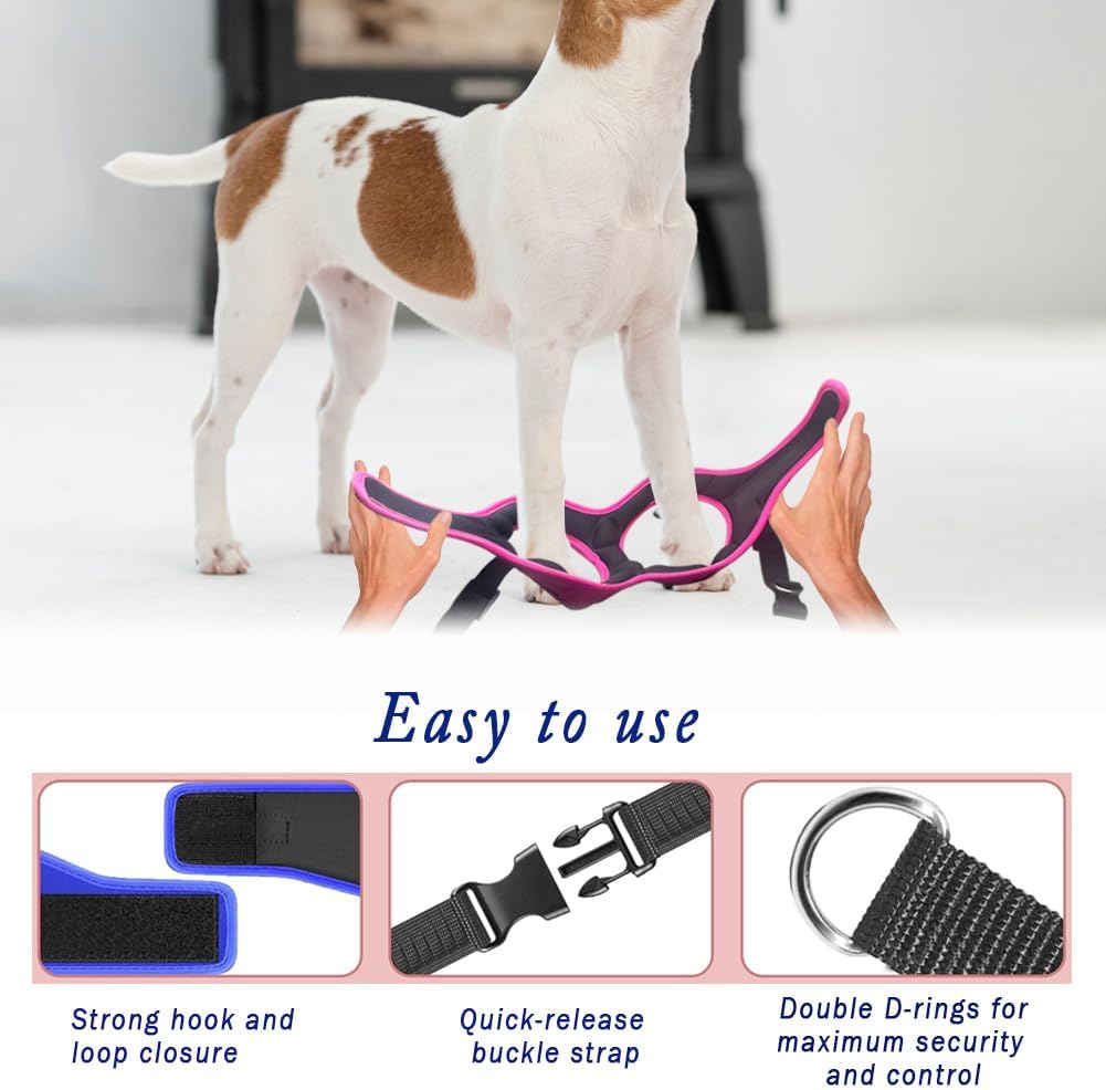 Comfort Fit No Pull Dog Harness – Adjustable Step-in Vest for Small, Medium & Large Dogs, Soft Padded with Leash Clips, Reflective Straps & Handle