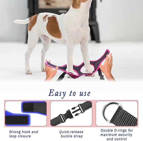 Miniatura 6 de Arnés para Perros Comfort Fit Sin Tirones – Chaleco Ajustable Tipo Step-in para Perros Pequeños, Medianos y Grandes, Suavemente Acolchado con Clips