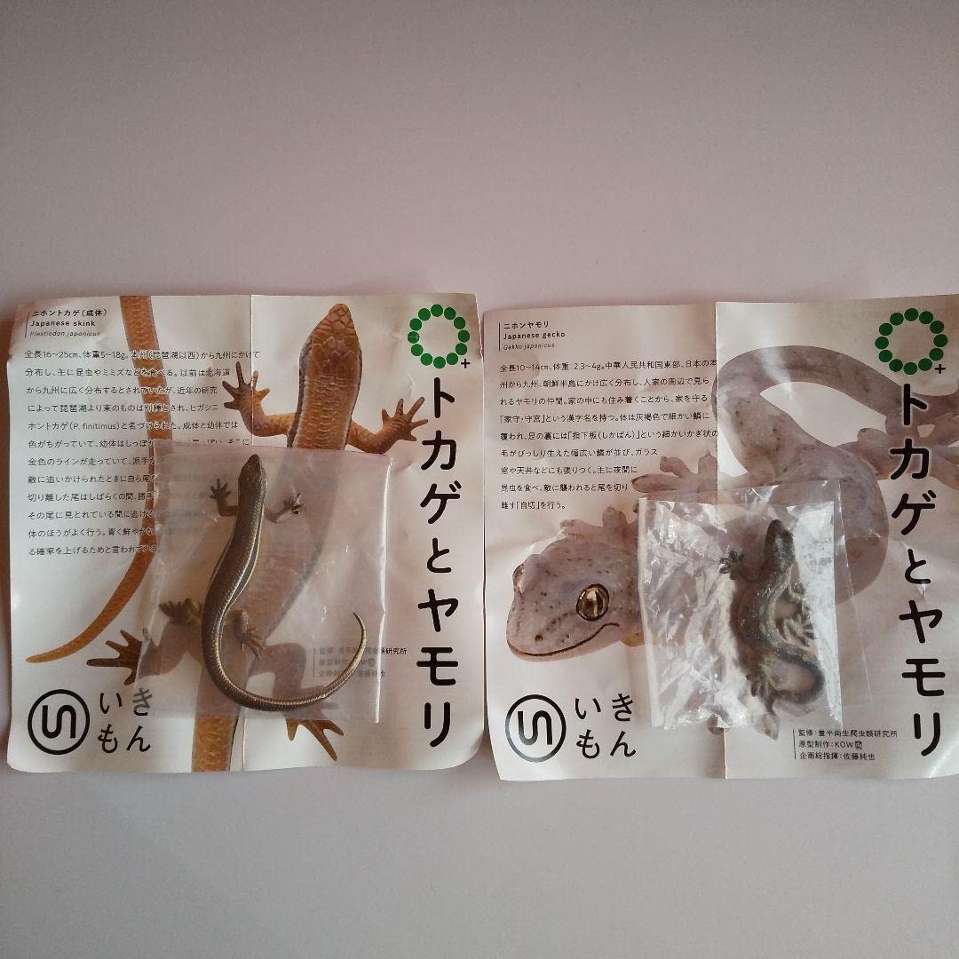 Amazon | ネイチャーテクニカラー トカゲとヤモリ ガチャ | カプセル