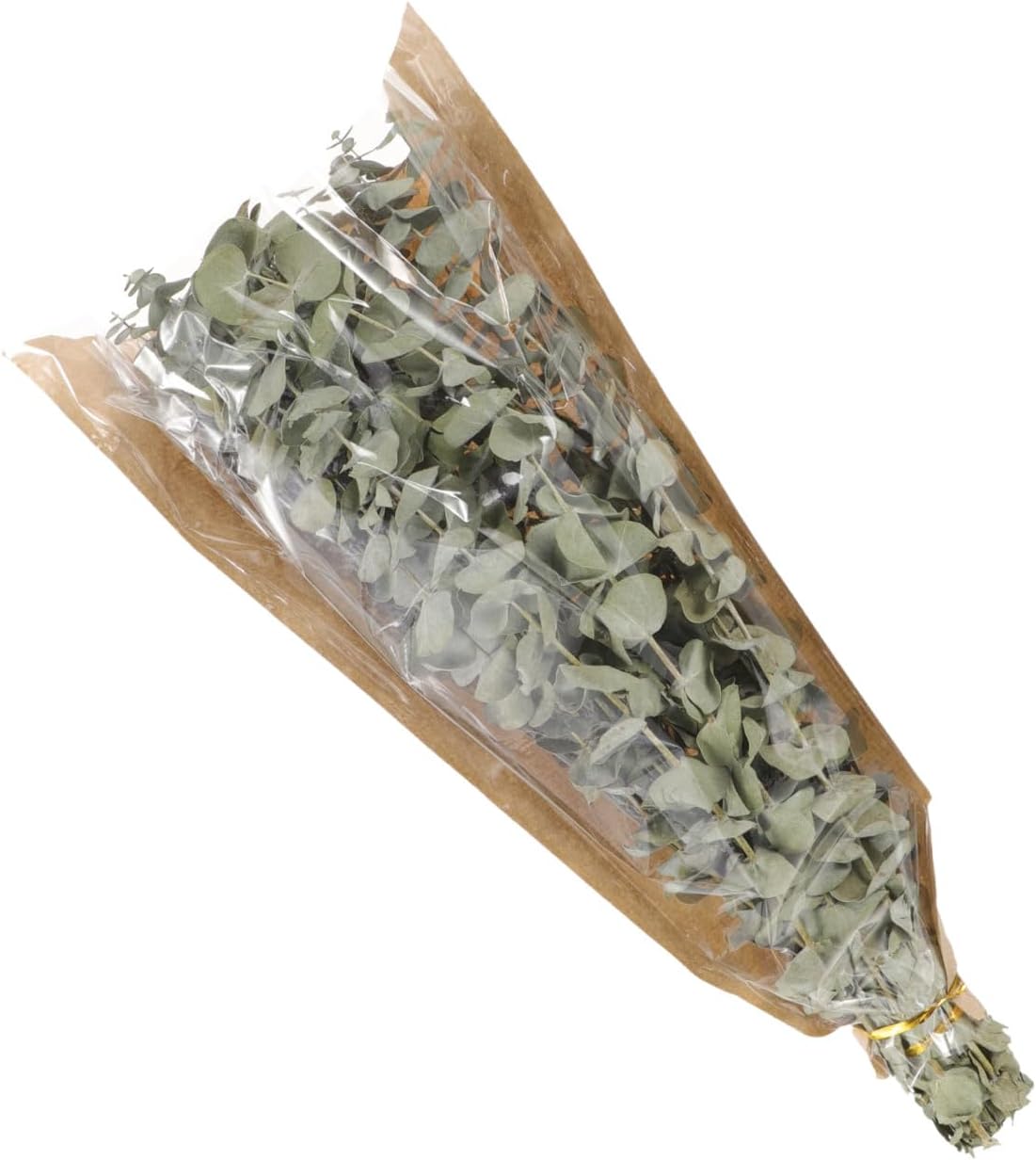 Levemolo 40g Eucalyptus Stems Lavender Buds Dried Plant Decor Shower Room Accessory