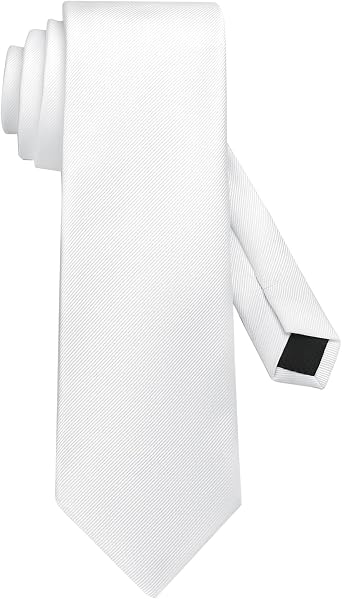DecTwig Mens Ties Solid Color Formal Necktie
