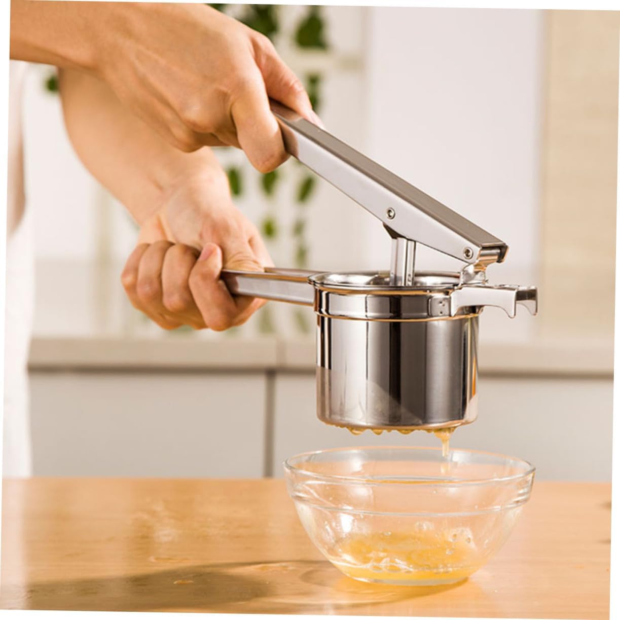 Ciieeo Citrus Squeezer Lemon Press Fruit Juice Squeezer Style Cold Press Juicer Machine