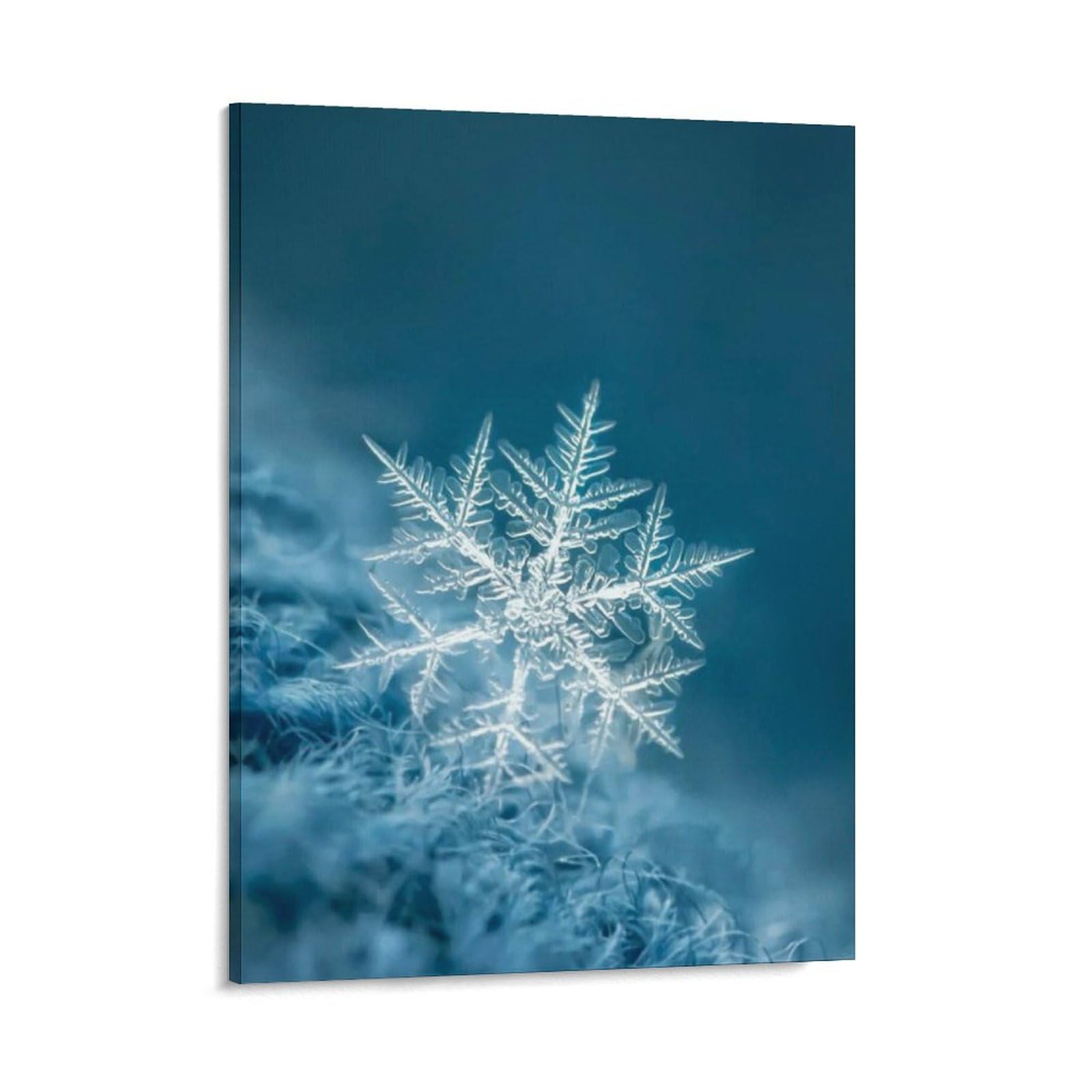 Amazon.co.jp: 絵画 雪の結晶のクローズアップインテリア 絵画 幻想的