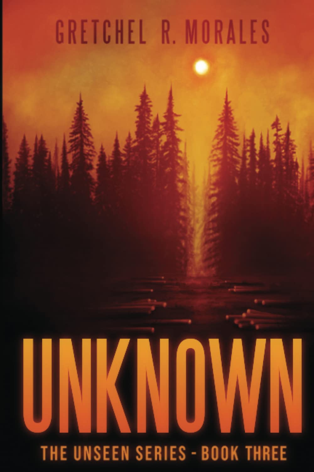 Unknown (The Unseen Series) Paperback – November 29, 2022