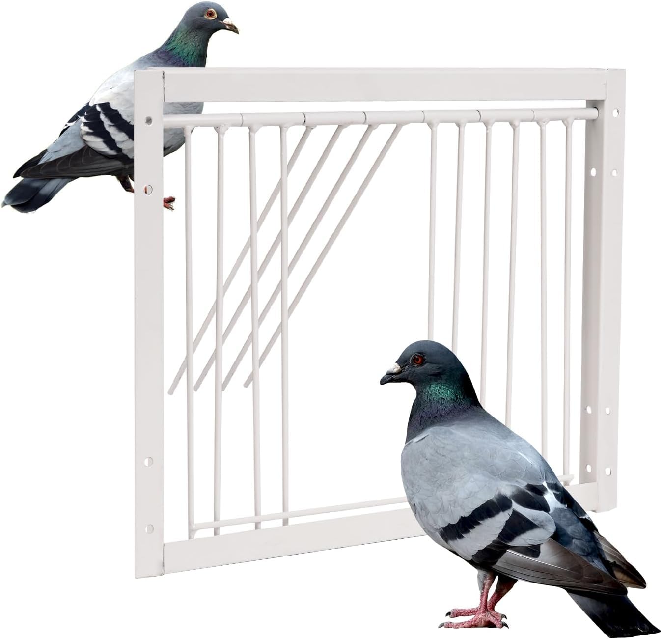 11.8in(30cm) Pigeon Cage Door One Way Entrance Door Bird T Trap Birdcage Iron Wire Trap Door for Racing Pigeon Bird Cage Breeding Supply