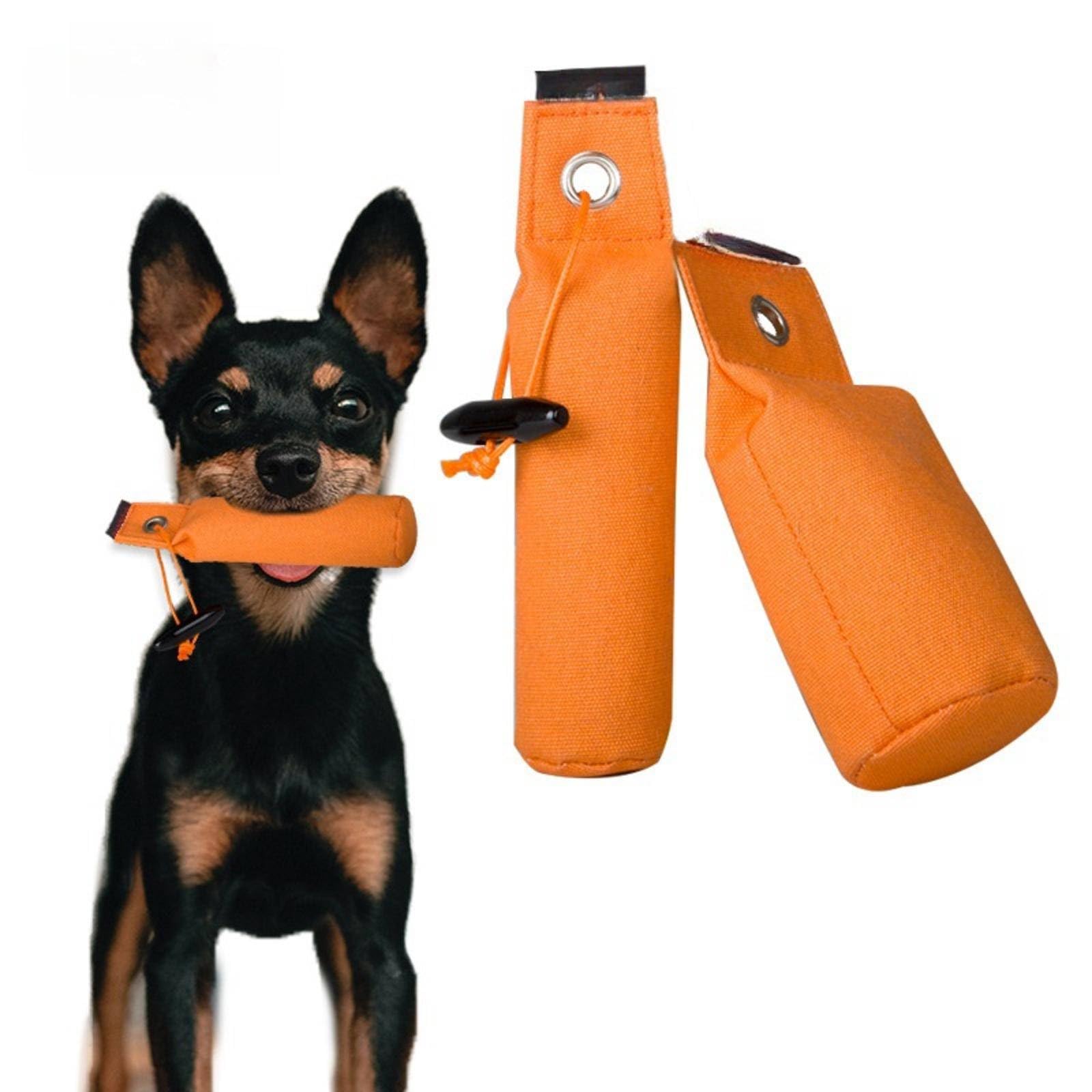 Amazon.co.jp:  犬用引っ張りおもちゃ、綱引き犬用おもちゃ、丈夫なキャンバス製噛み枕、小型から大型犬のトレーニング用犬用引っ張りおもちゃ、オレンジ、6*17CM/629(6*17CM)  : ペット用品 犬用引っ張りおもちゃ、綱引き犬用おもちゃ、丈夫なキャンバス製噛み枕、小型から大型犬のトレーニング用犬用引っ張りおもちゃ、オレンジ、6