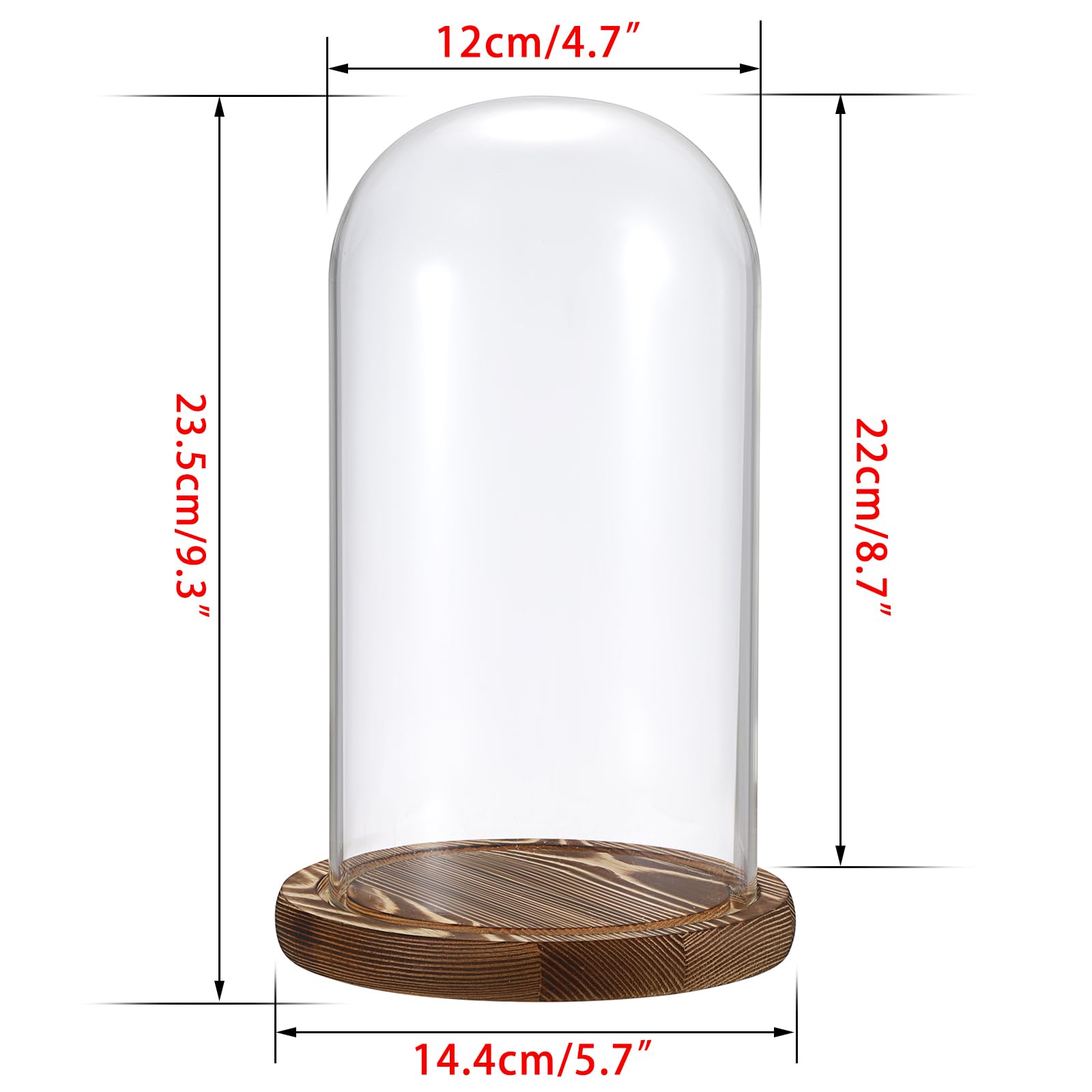 Lot de 2 dômes en verre socle bois naturel - Cloche décorative robuste - Pour lampes, bougies, roses, décorations Noël, anniversaires, Saint-Valentin