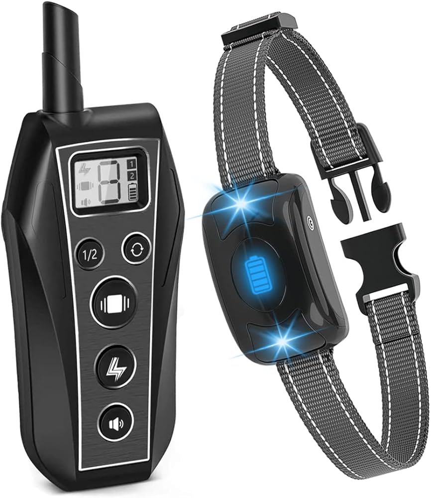 Bark and training collar combo Clearance