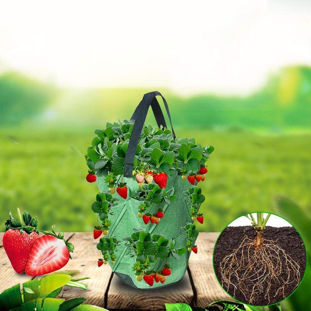 Fresa de Cultivo de Fresa Bolsa de contenedor plantador de Bricolaje Telas PE Plantación de jardinería de hortalizas espesando Maceta de Maceta Herramienta de jardín
