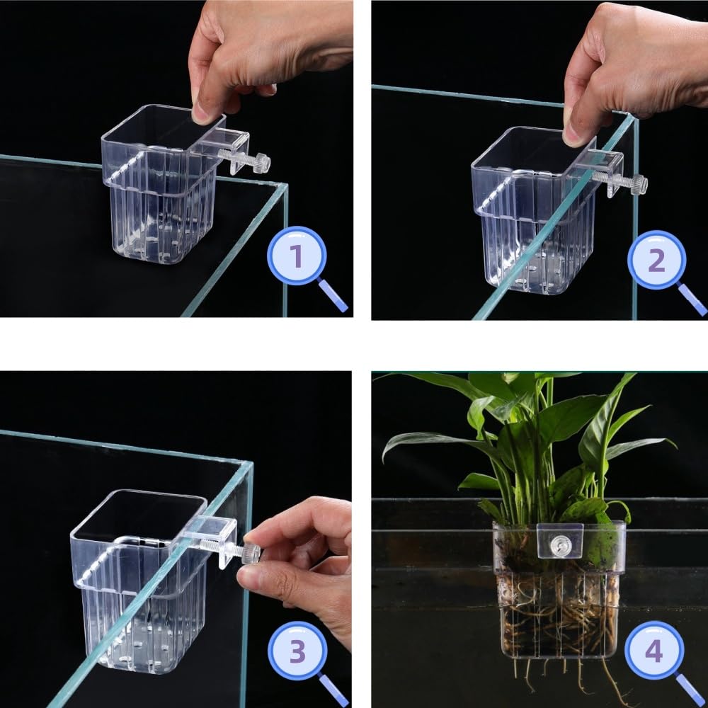 Lot de 4 supports de plantes d'aquarium en polypropylène transparent (PP), design suspendu avec trous de circulation de l'eau et installation facile, idéal pour les plantes d'eau douce et