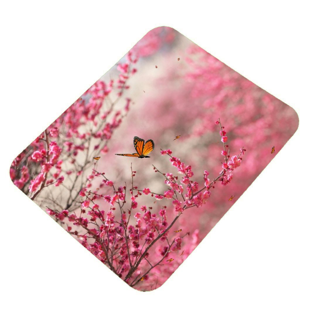 Clapcart Butterfly Design Printed Rubber Base Mat Finish Mouse Pad for PC/Laptop - Multicolor (B01FI2O76C) Amazon Price History, Amazon Price Tracker