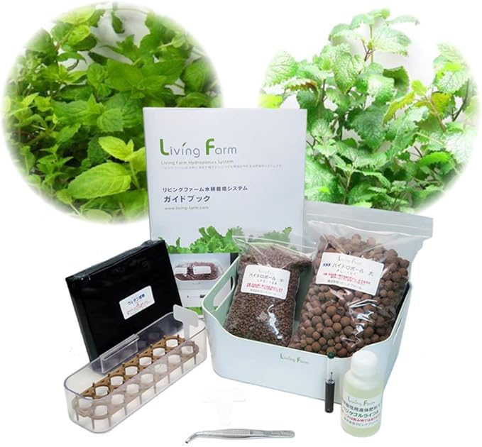 Amazon Co Jp リビングファーム 水耕栽培 ハーブ ミントとレモンバーム 種付き スッキリハーブセット ハイドロボール 育苗 育成hbキット 土不要 簡単 無農薬野菜 ハーブ苗作りキット ハイドロボールで苗を育成するキット Lfs 095 1 Diy 工具 ガーデン Amazon Co Jp リビングファーム 水耕栽培 ハーブ ミントとレモンバーム 種付き スッキリハーブセット ハイドロボール 育苗 育成hbキット 土不要 簡単 無農薬野菜 ハーブ苗作りキット ハイドロボールで苗を育成するキット Lfs 095 1 Diy 工具 ガーデン