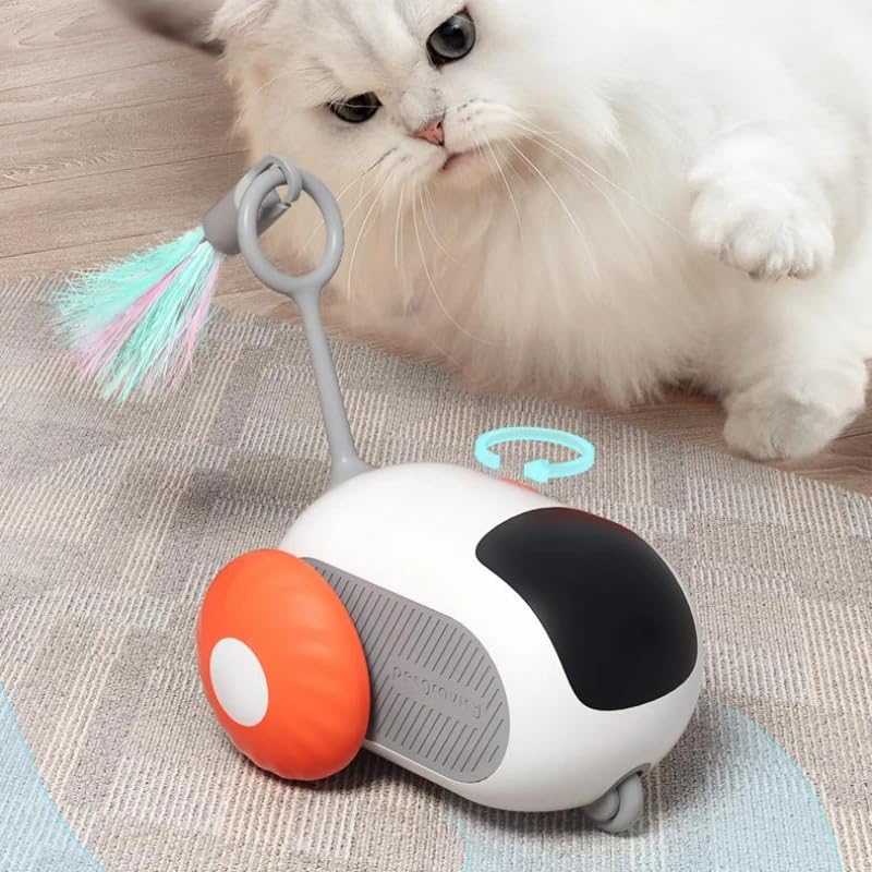 Jouet chat interactif pour animer le quotidien de votre chat d'intérieur