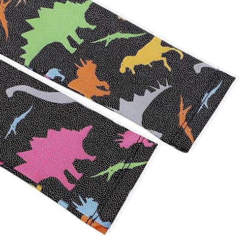 HOZIY Long Sleeve Leotards for Girls Gymnastics Kids Toddler Tumbling Outfits Floral Unicorn Galaxy Rainbow Stripe Pattern