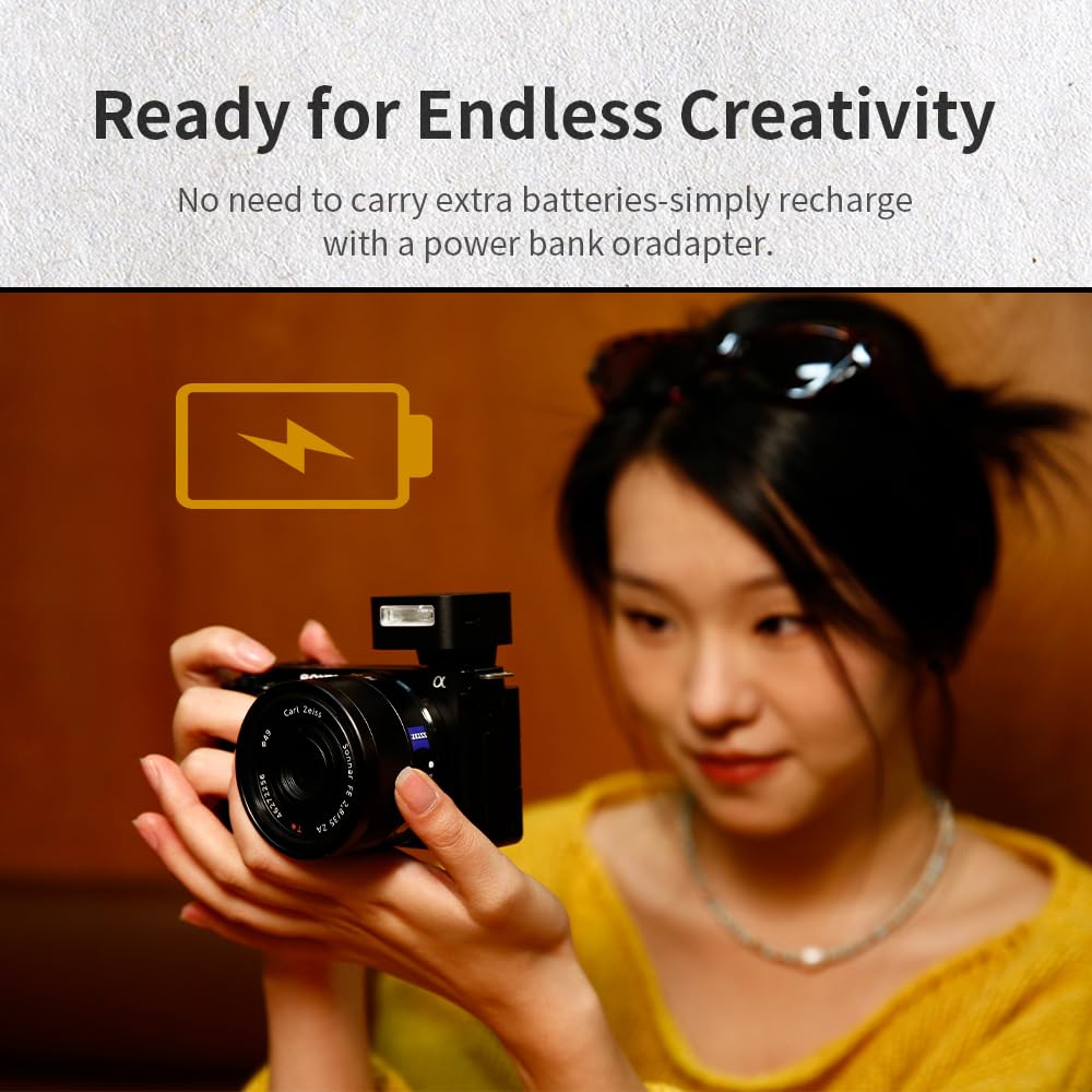 Amazon.com : Zeniko ZF08 Mini Camera Flash Speedlite- On Camera