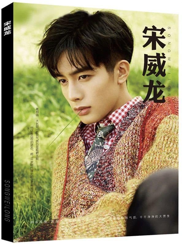 Amazon.co.jp: 宋威龍 ソンウェイロン 写真集 中国限定 : ホーム＆キッチン