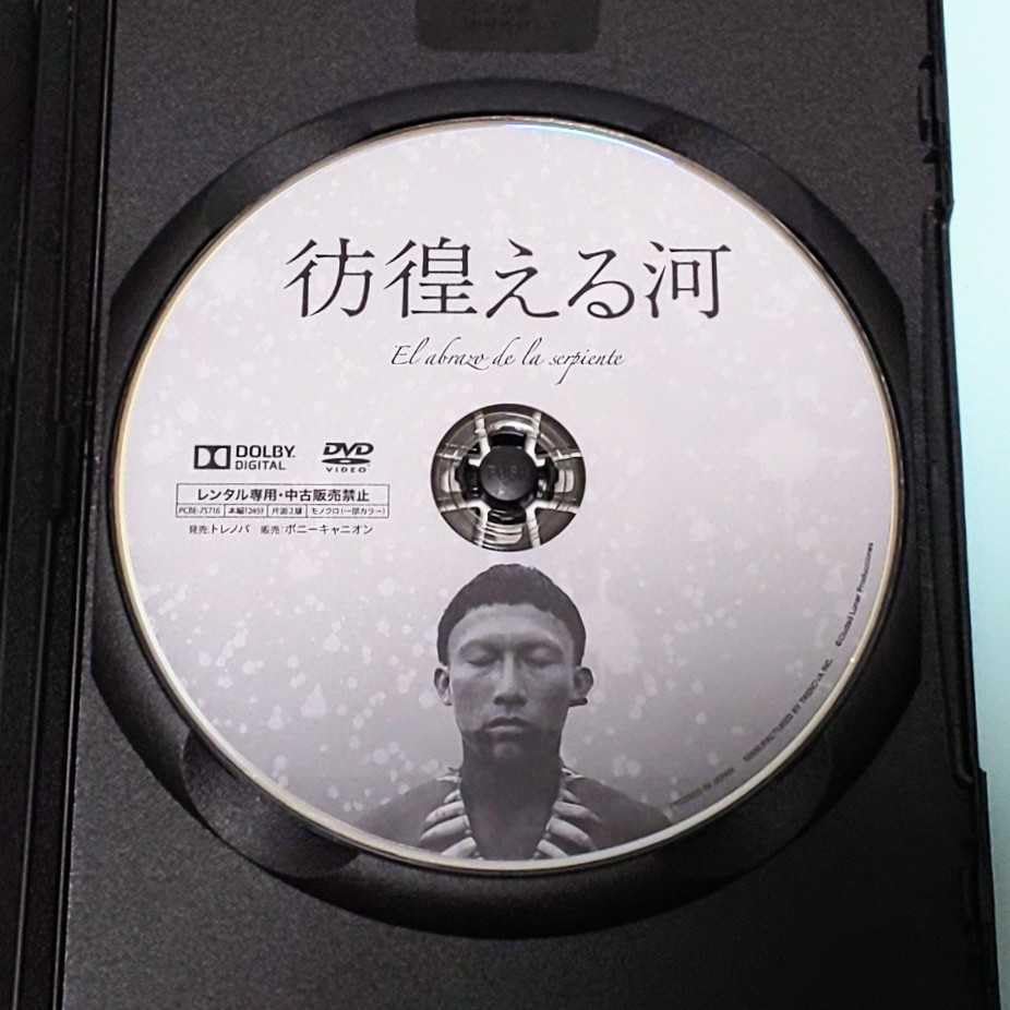 Amazon.co.jp: 彷徨える河 レンタル版 DVD シーロ・ゲーラ ヤン 