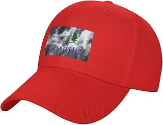 Flag of Cedar Hill, Texas Baseball Cap for Men Women Hat Adjustable Solid Color Trucker Hats