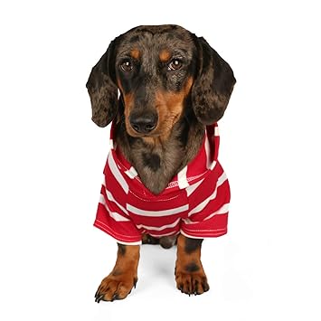 DJANGO Dog Hoodie and Super Soft and Stretchy Sweater with Elastic Waistband and Leash Portal (Medium, Red)