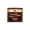 Yves Rocher RICHE CRÉME Intensive Care Day & Night Anti-Ageing Face Cream with Oil of 1000 Roses for Intensive Cell Regeneration 75 ml