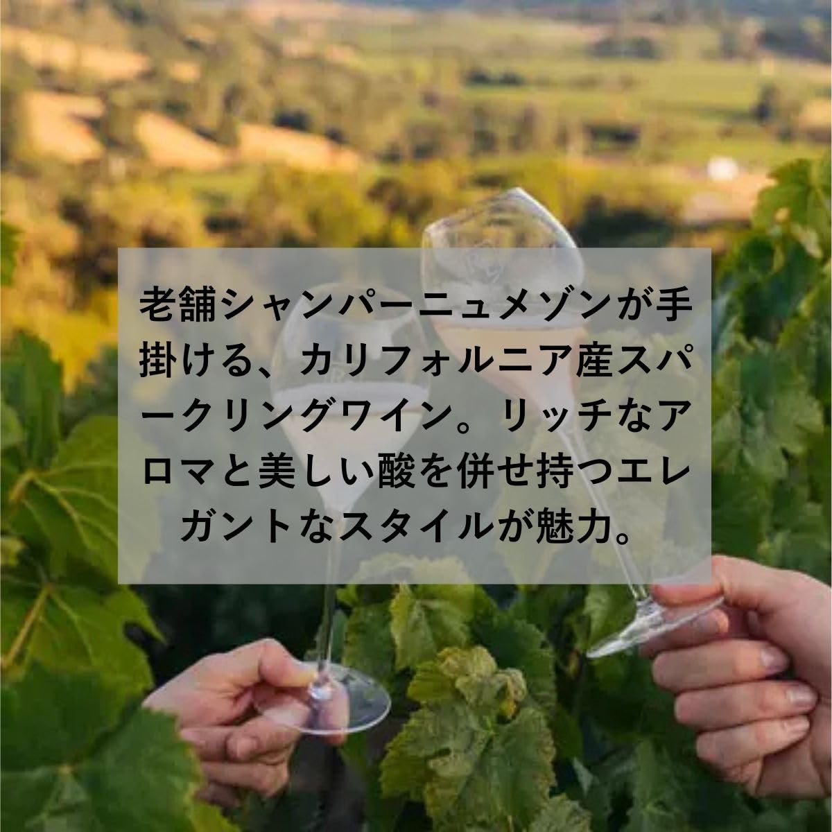 Amazon.co.jp: ロデレール・エステート カルテット アンダーソン