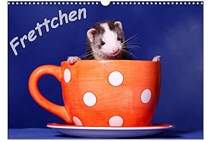 Adorable Ferret Photos for a Wonderful 2024 with this Ferret Wall Calendar