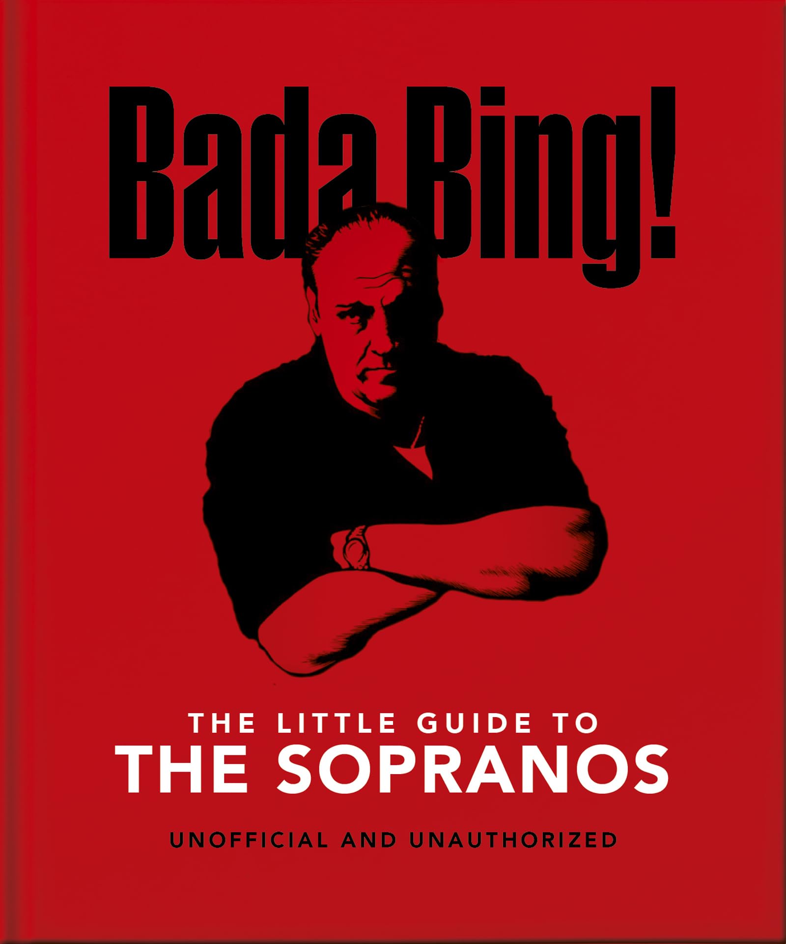 Bada Bing!: The Little Guide to The Sopranos: The only ones you can depend on