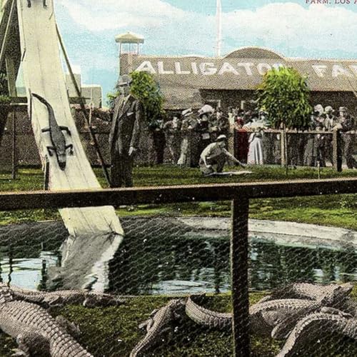 S8 Ep524: Jeff Bliss reports that Governor Newsom's national book tour faces criticism for historical inconsistencies, dismissive comments toward a diverse audience in Atlanta, and unprofessional responses from his press office. 2.