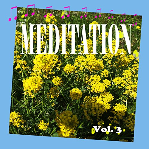 Amazon.com: Meditation, Vol. 3 : Various artists: Digital Music